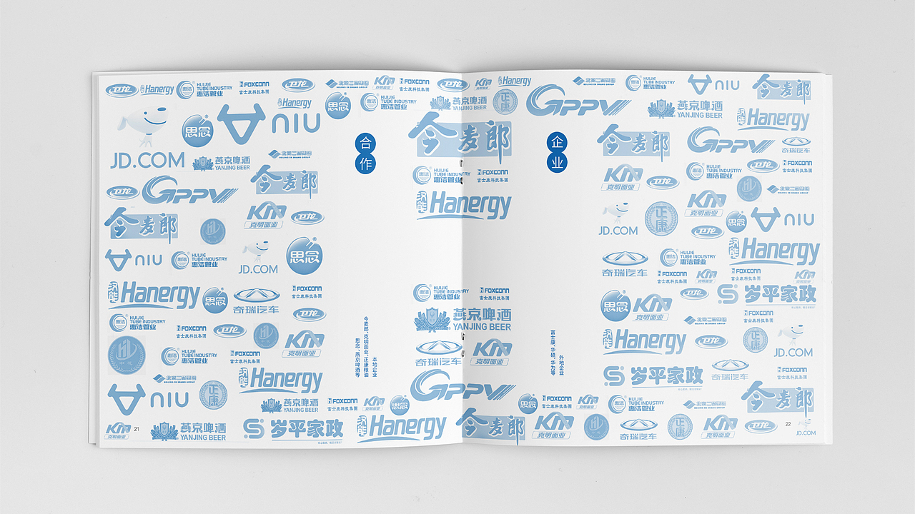 企业画册设计、宣传册设计、版式设计、书籍封面