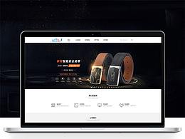 企業(yè)官方網(wǎng)站