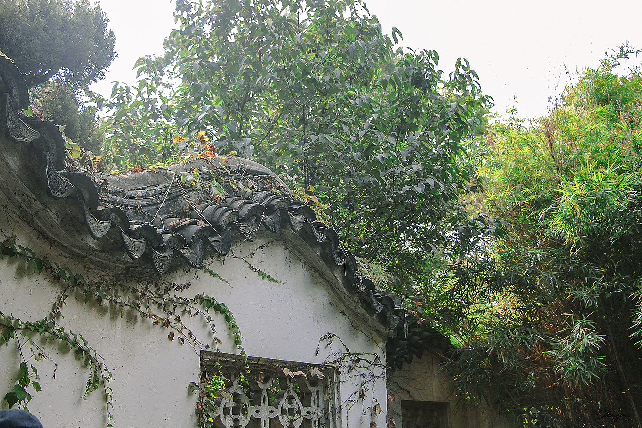 姑苏行——旅行街拍