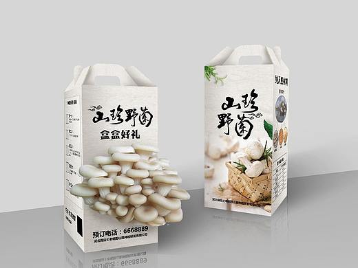 菌菇盆景礼盒