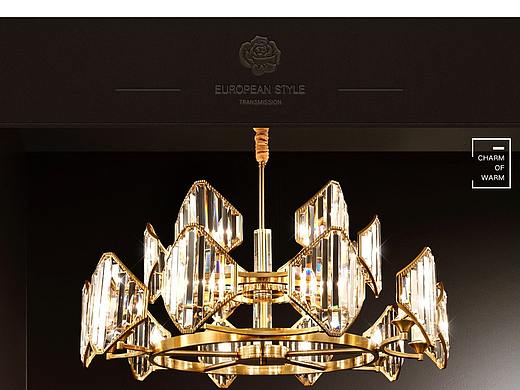 雷派克照明旗舰店-详情