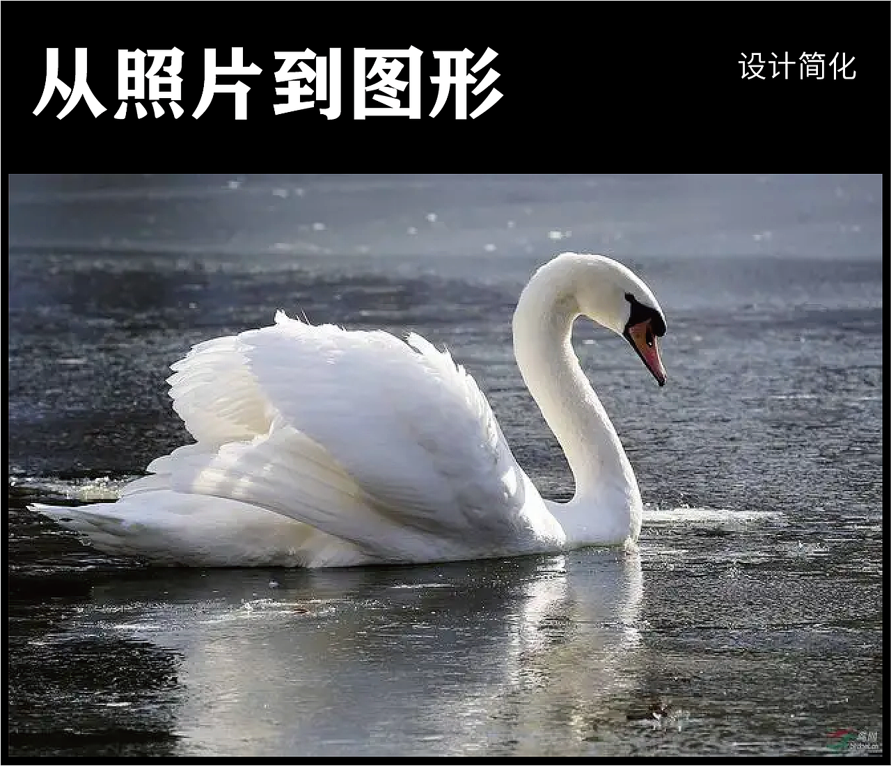 從照片到圖形簡(jiǎn)化（圖ZMzExMTczNjc2） - Logo - 站酷設(shè)計(jì)師Su6ay原創(chuàng)素材 - 站酷ZCOOL