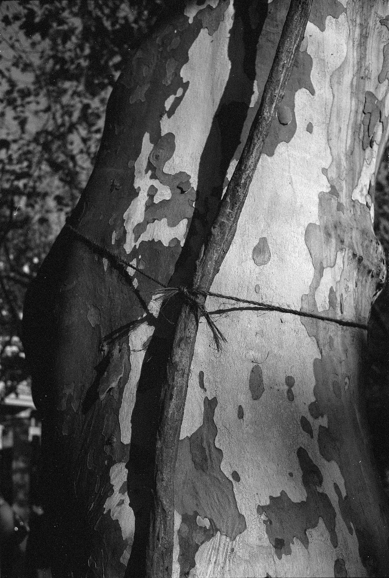 静物 | 兀然之然