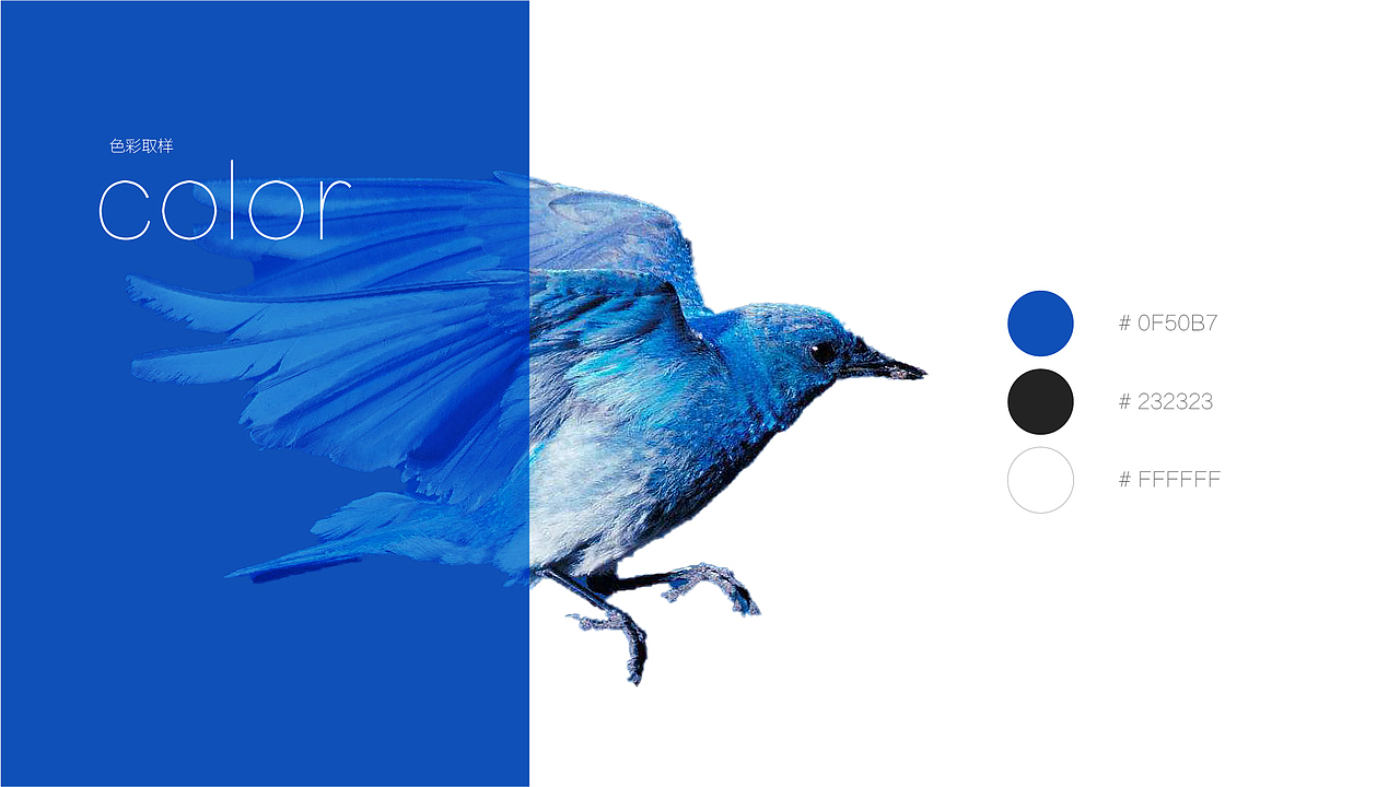 叽喳品牌logo（图ZMTM1MjY2MzY4） - 品牌 - 站酷设计师24点半原创素材 - 站酷ZCOOL