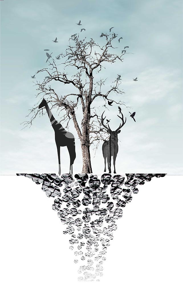 2022小清新香格里拉定制（图ZMjkwNzI5NTM2） - 商业插画 - 站酷设计师窗帘图库原创素材 - 站酷ZCOOL