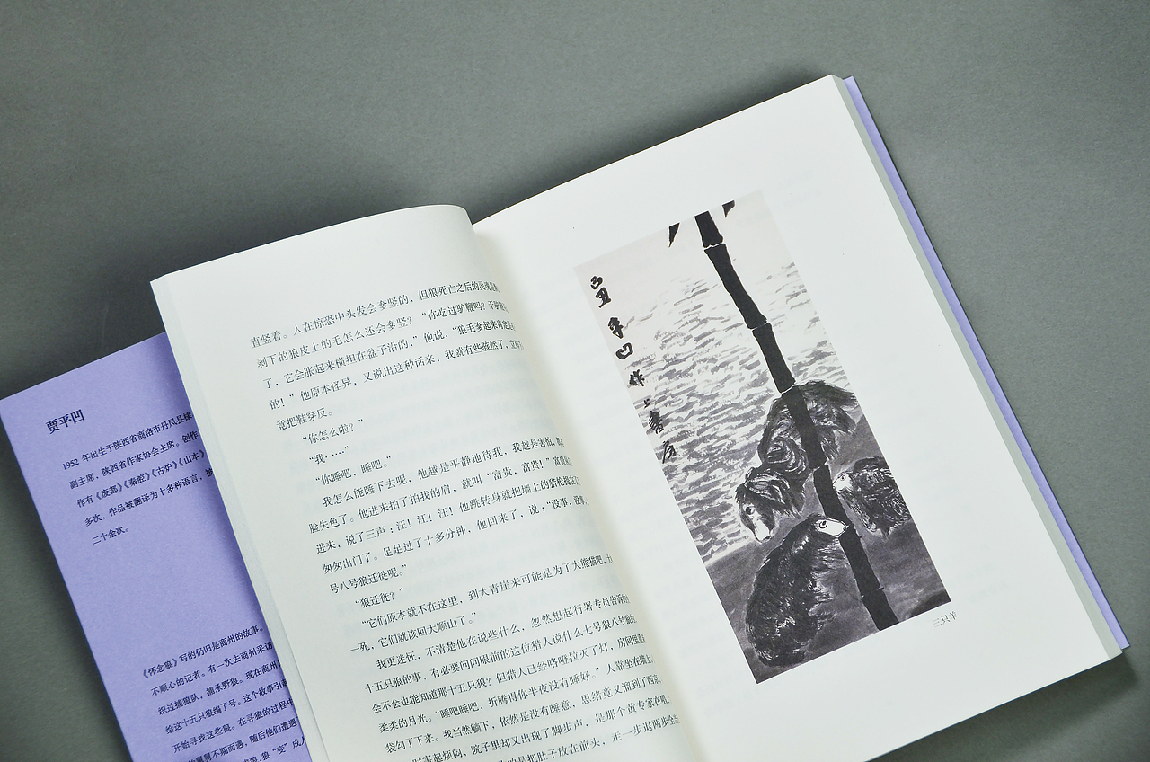 《高兴》《怀念狼》《带灯》（图ZMjg1NzQ5NzA4） - 书籍/画册 - 站酷设计师林时原创素材 - 站酷ZCOOL
