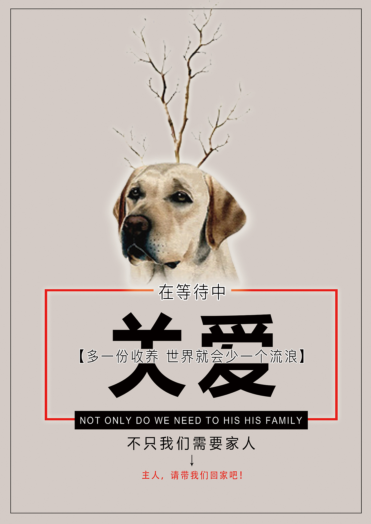 关爱流浪动物|平面|海报|于无声里听波澜_原创作品-站酷zcool