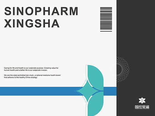 【凭星而来，鲨耀新生 】国控星鲨LOGO及70周年徽标（个人主页-ZNTkxNTc5ODQ=） - Logo - 站酷设计师机器人王哈哈原创素材 - 站酷ZCOOL