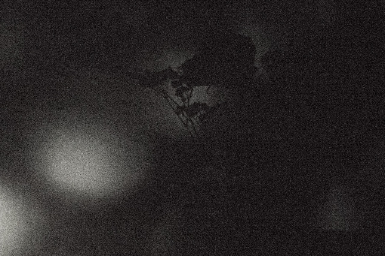 黑夜里的精灵|摄影|风光|xiaodupi - 原创作品 - 站酷 (ZCOOL)