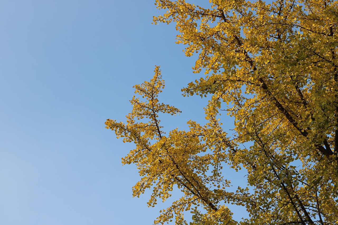 风光//首尔旅拍