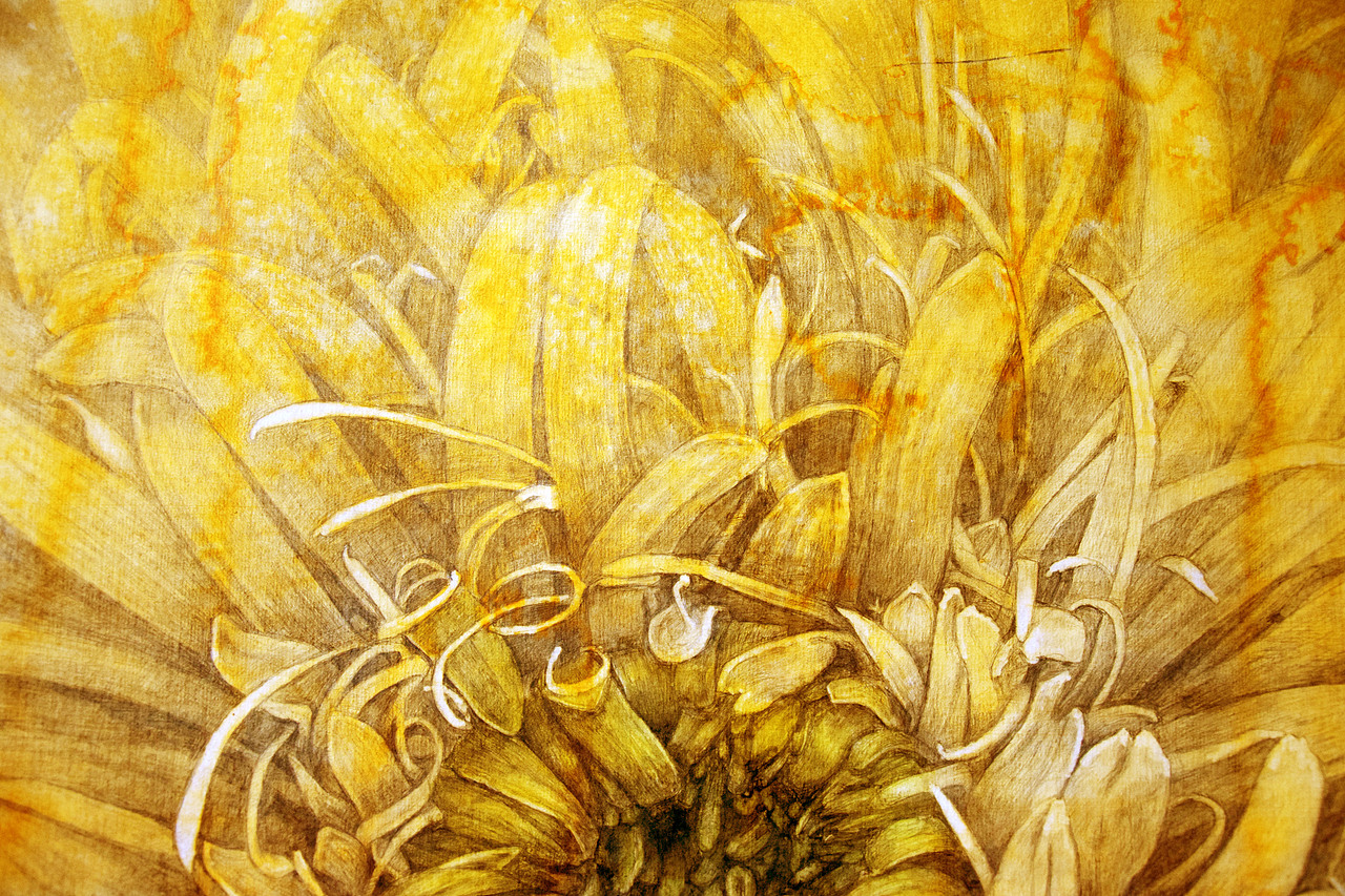 手绘《生命之花》