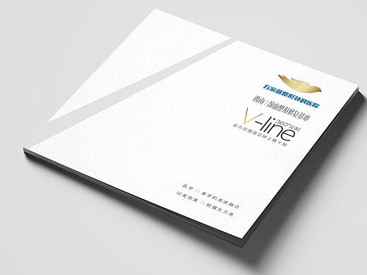 万家燕画册：：医疗/美容