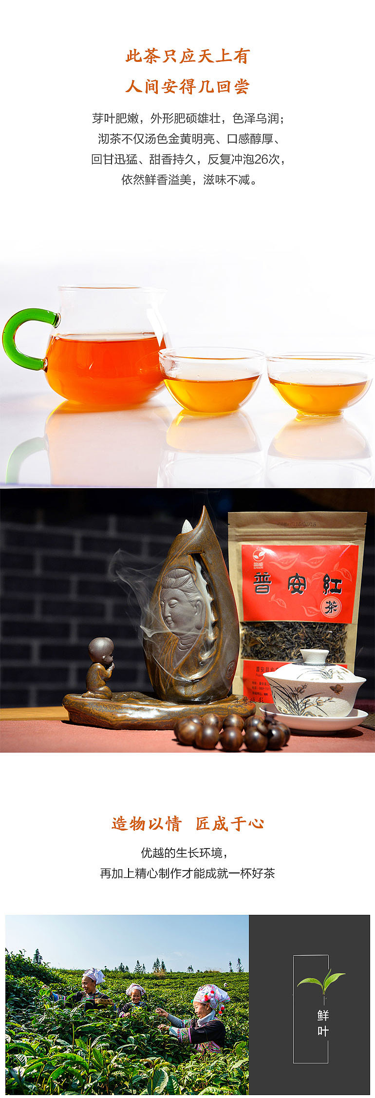 普安红古茶树（图ZODg4NDYyMjQ=） - 宣传物料 - 站酷设计师龙观电商原创素材 - 站酷ZCOOL