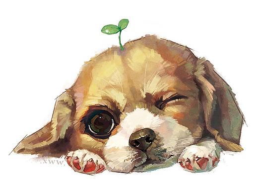 【萌宠by雪娃娃——比格犬