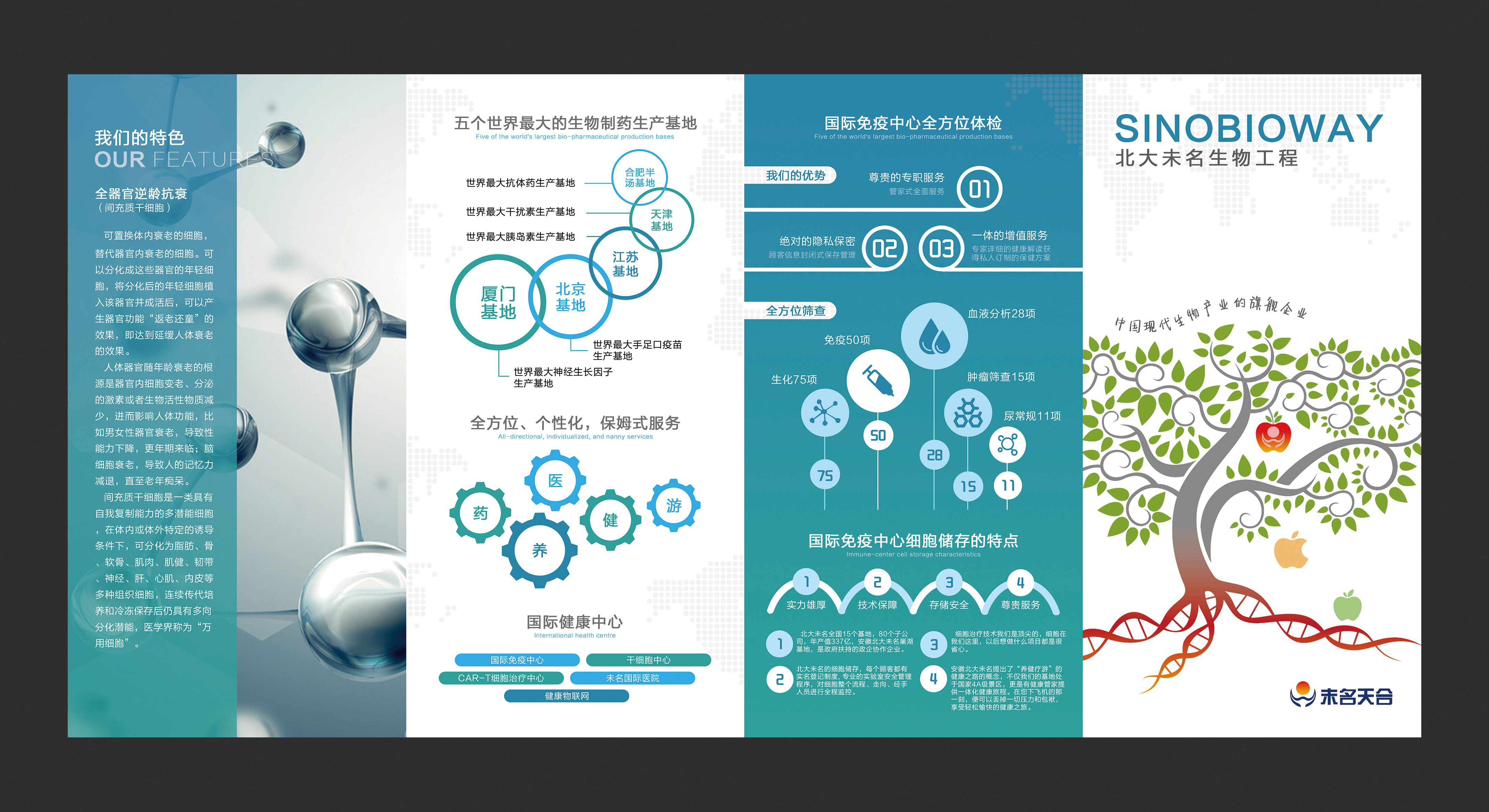 四折页设计生物医药生物农业宣传折页平面设计