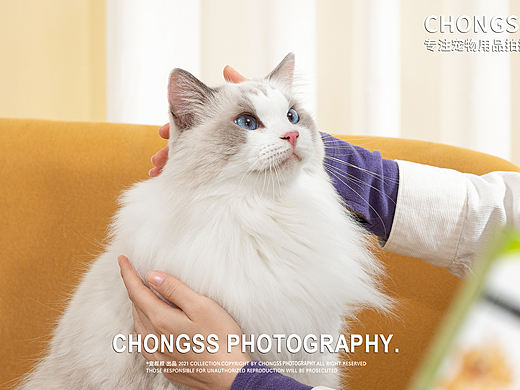 宠物用品/宠物药品