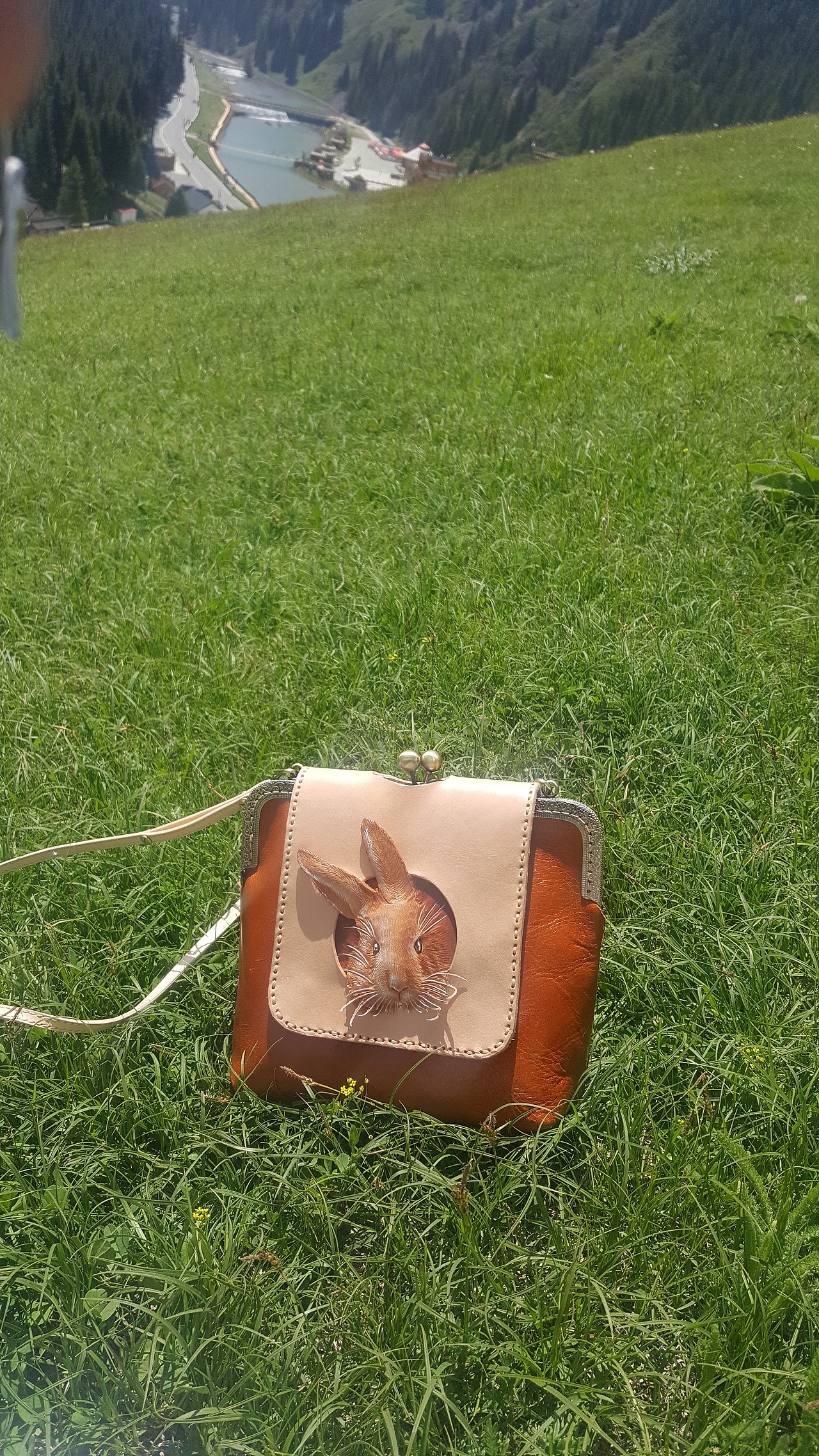 兔兔/豚鼠包出游记