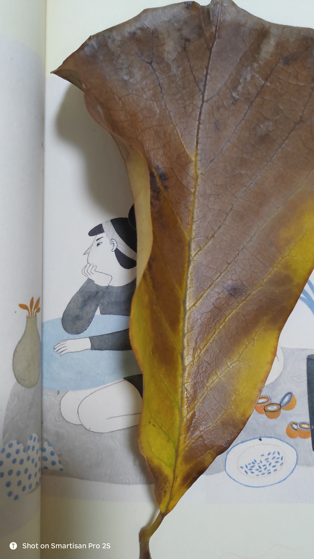 微笑以及冬天的树叶。