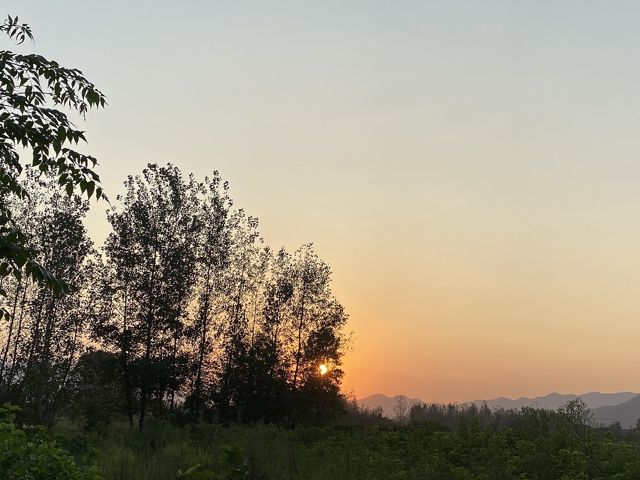 日出而作 钓鱼老叟浣纱人