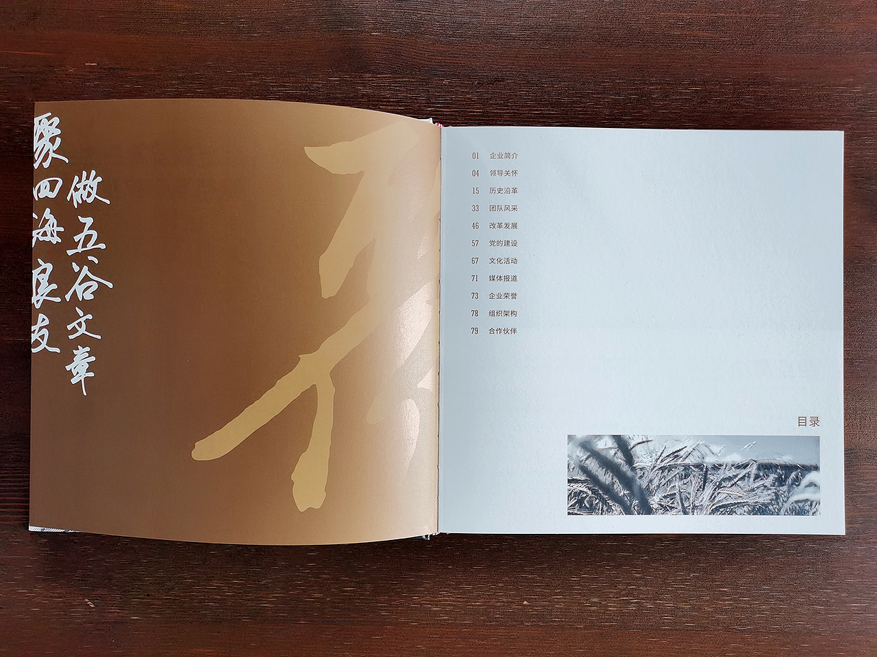 纪念册（图ZMjkyNTcxMjky） - 书籍/画册 - 站酷设计师限号单眼皮原创素材 - 站酷ZCOOL