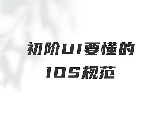初阶UI要懂的IOS规范