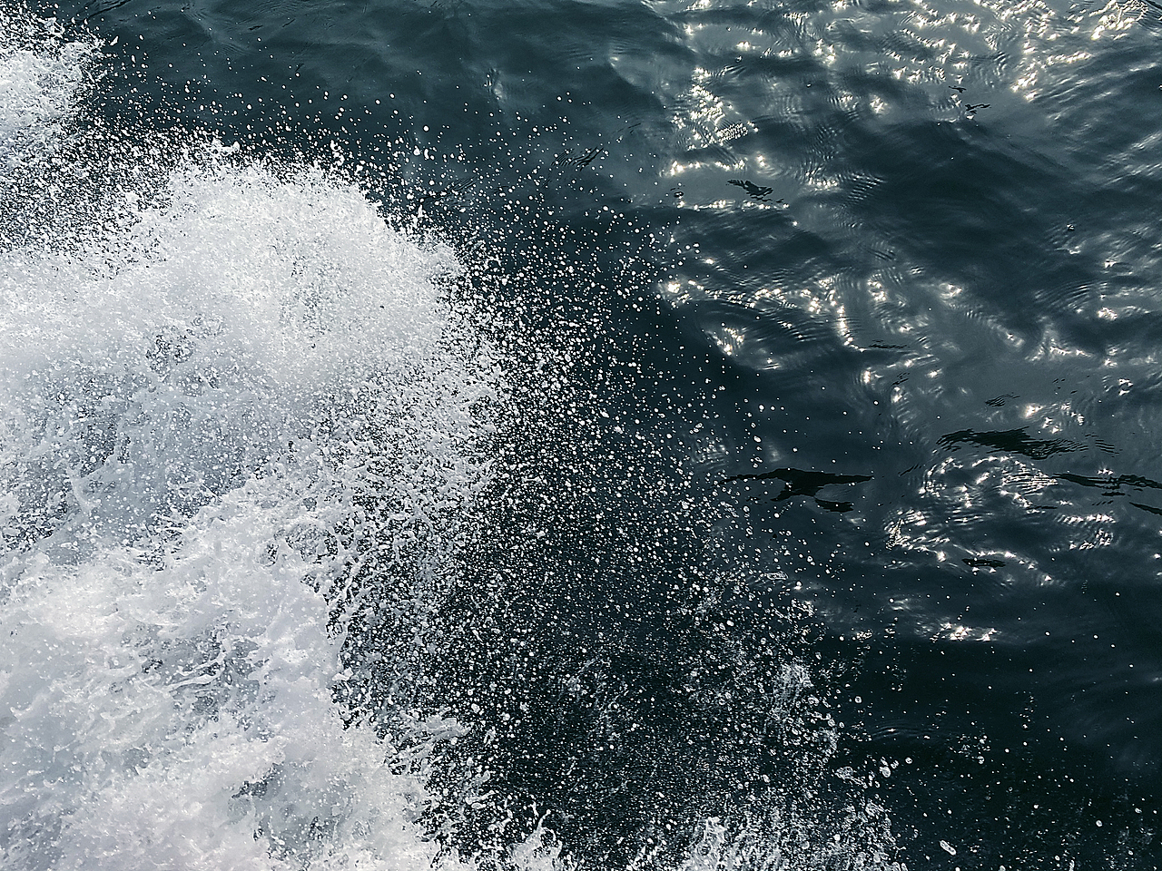 想和你一起看海,也想和海一起看你