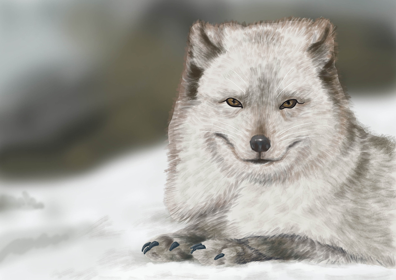 小动物和下雪天更配-总结（图ZMzMyOTg2MDky） - 创作习作 - 站酷设计师琴心雅意原创素材 - 站酷ZCOOL