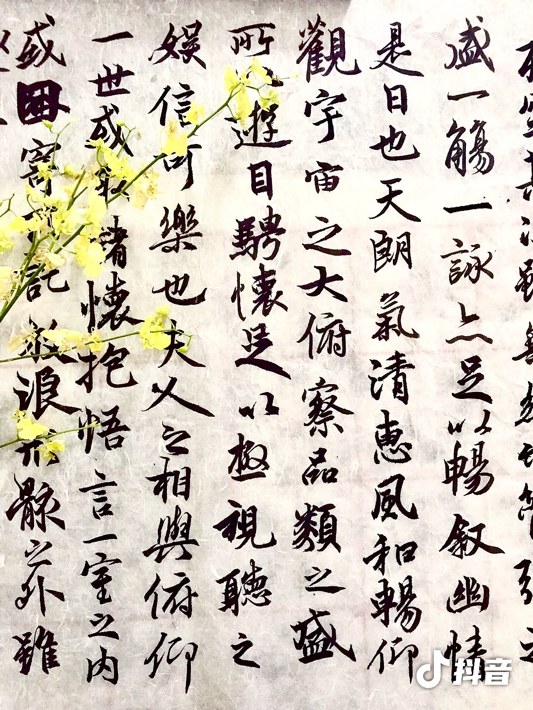 临王羲之兰亭序