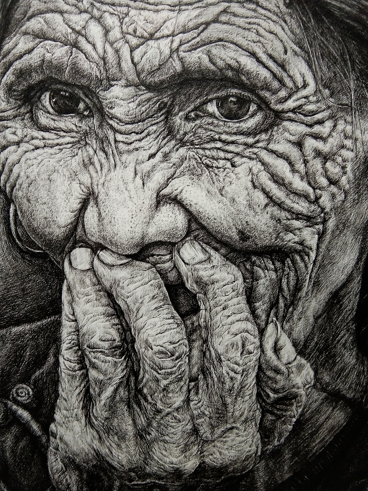 钢笔画素描写实人物藏族岁月