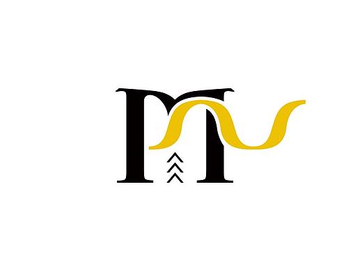 广东省精准医学应用学会VIS