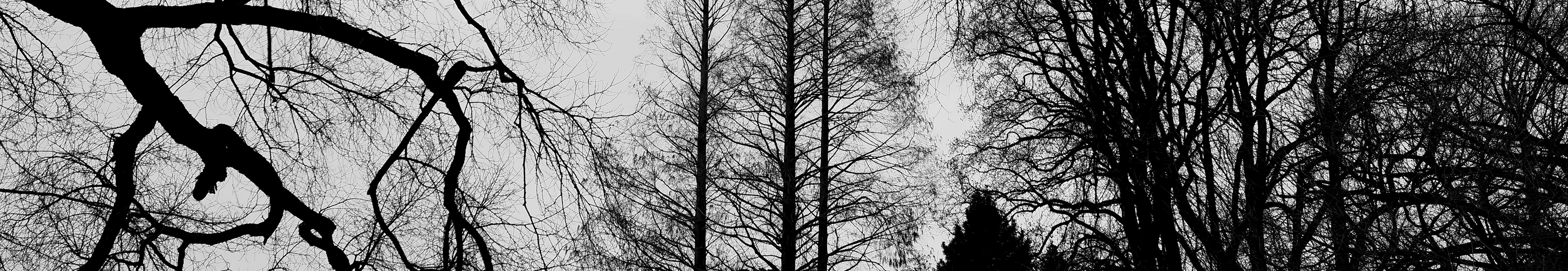 XXIAOBINJUN的個人主頁（封面預(yù)覽） - 主頁封面設(shè)置 - 站酷設(shè)計師XXIAOBINJUN原創(chuàng)素材 - 站酷ZCOOL