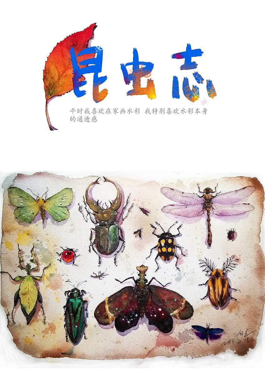 《昆虫志》——手绘水彩（图ZMTYxNTQxMTI=） - 绘画 - 站酷设计师白兰爱画画原创素材 - 站酷ZCOOL
