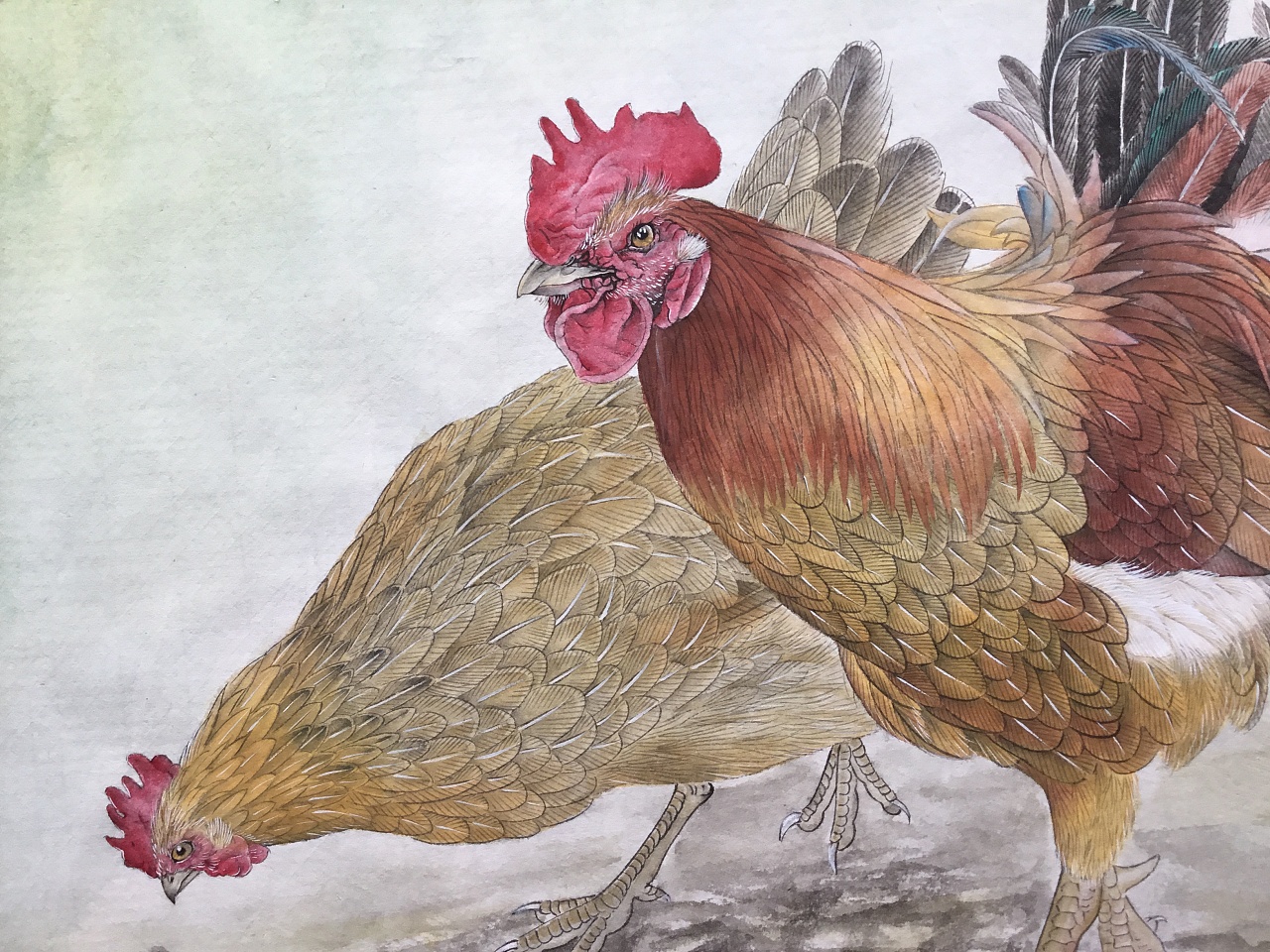 汪林工笔画葡萄鸡