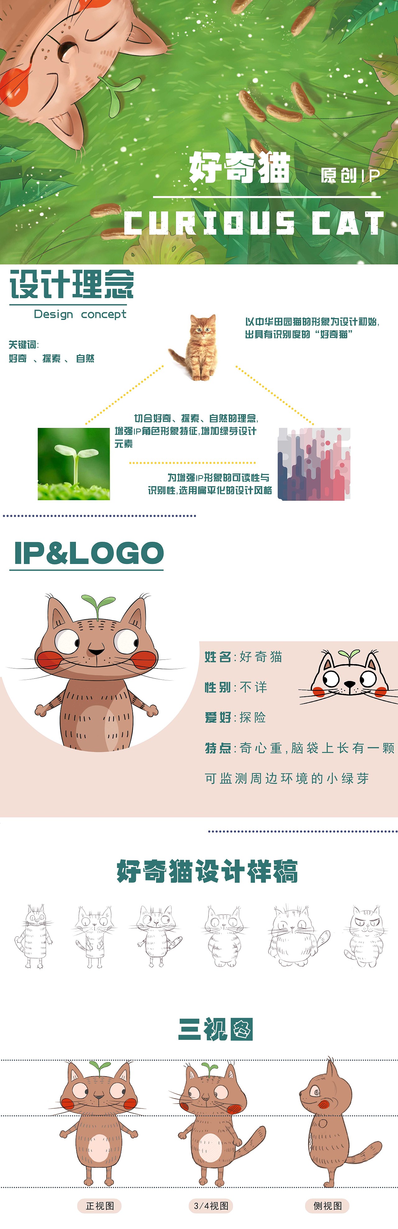IP好奇猫（图ZMjQ2Njc0MTE2） - IP形象 - 站酷设计师朝年90128原创素材 - 站酷ZCOOL
