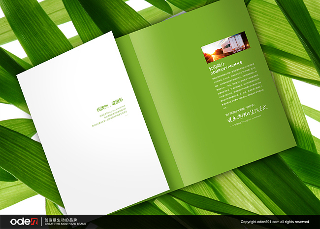 画册设计 包装设计 进口牛肉 红酒 保健品 奥登文化（图ZODAyNzg4NA==） - 宣传物料 - 站酷设计师oden奥登文化原创素材 - 站酷ZCOOL