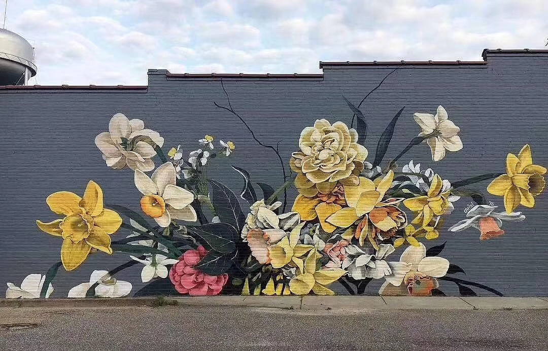 大墙绘画花的素材