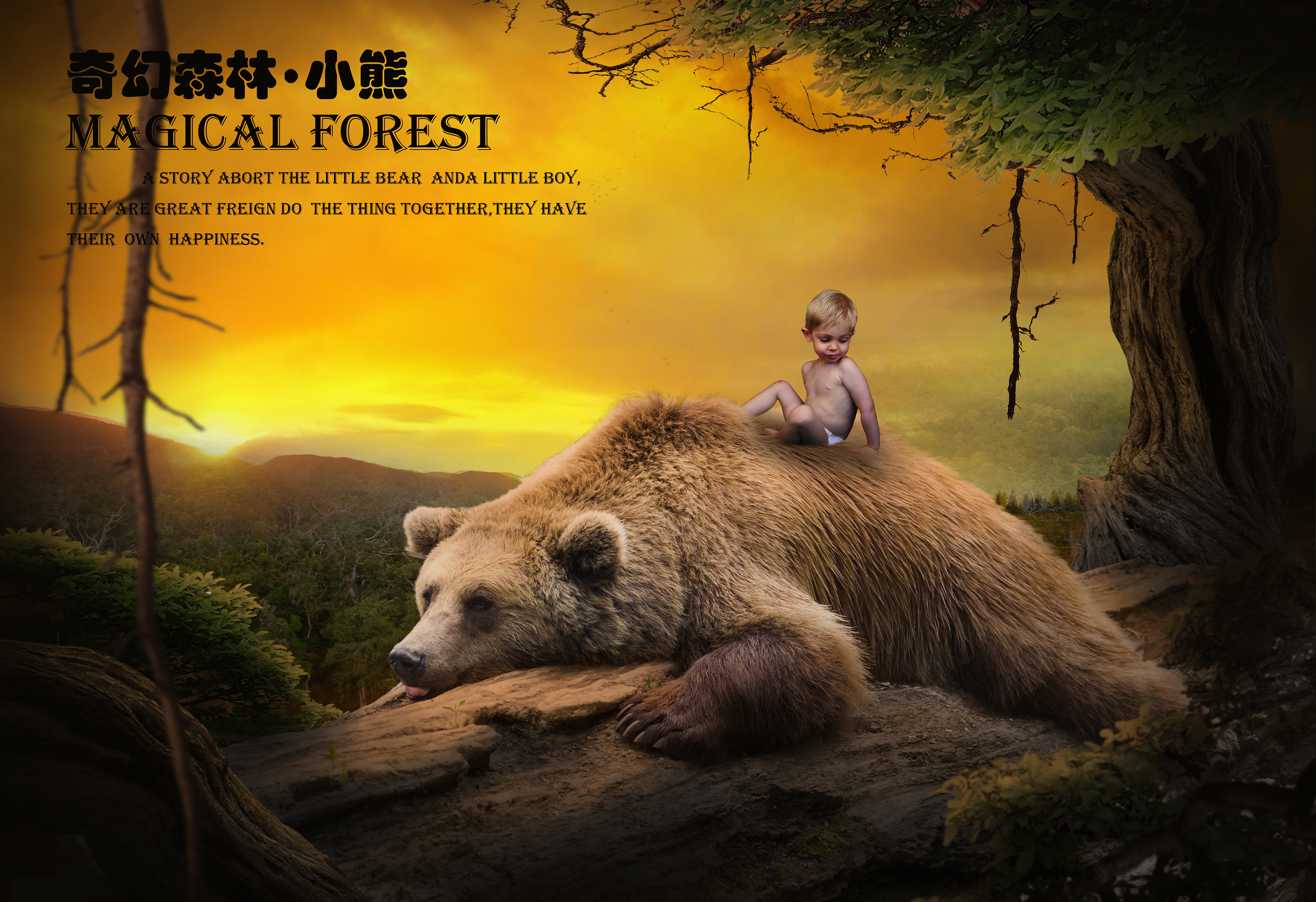 森林小熊创意海报 练习