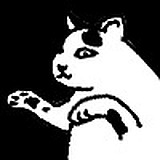 猫柚子的头像