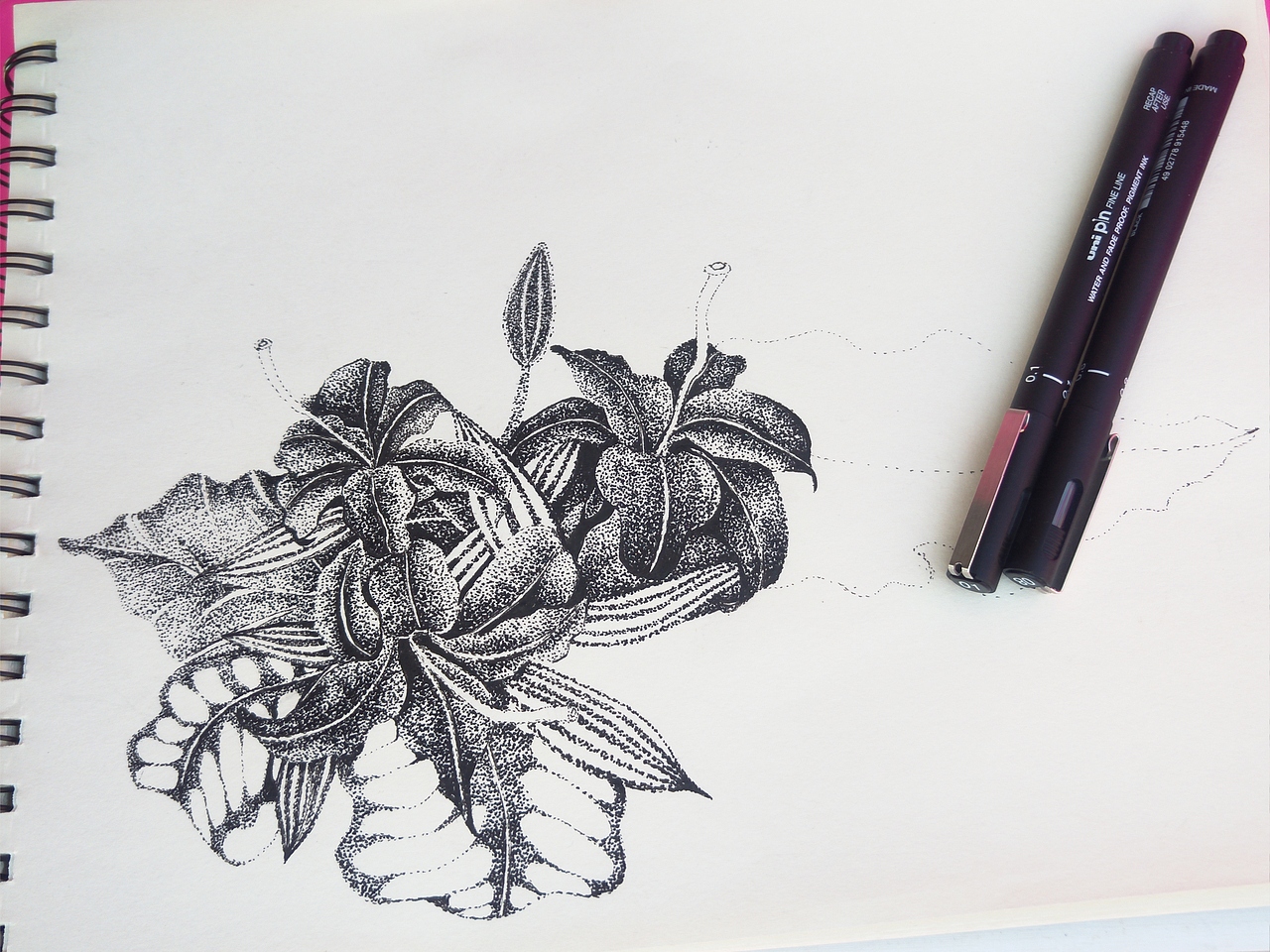 手繪習(xí)作（圖ZMTM2NDkxMDA0） - 創(chuàng)作習(xí)作 - 站酷設(shè)計師彡杉原創(chuàng)素材 - 站酷ZCOOL