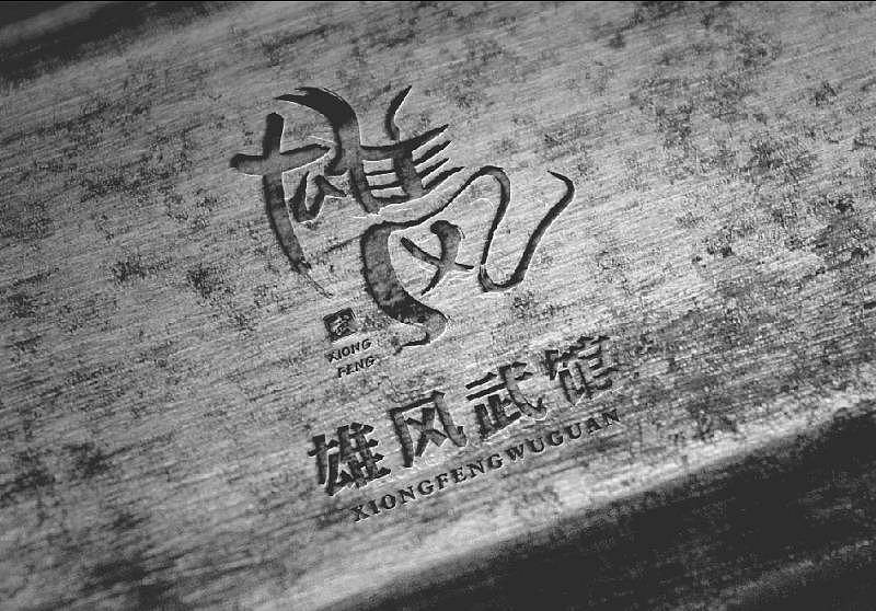 logo设计/武馆logo案例/中国风