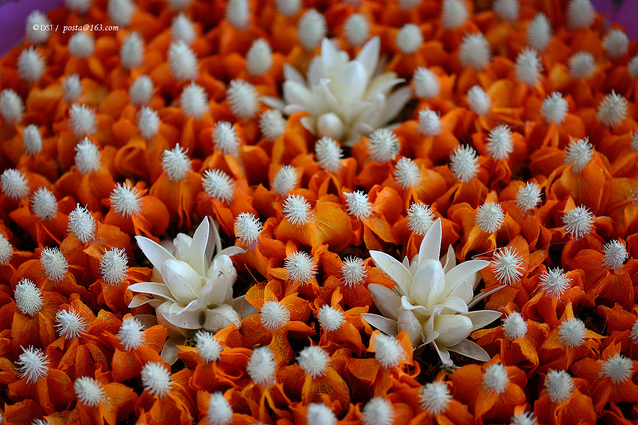 佛国巡礼-再回云南：官渡古镇，东寺塔，红土地（图ZNDk3NjA1NzY=） - 风光摄影 - 站酷设计师colori原创素材 - 站酷ZCOOL