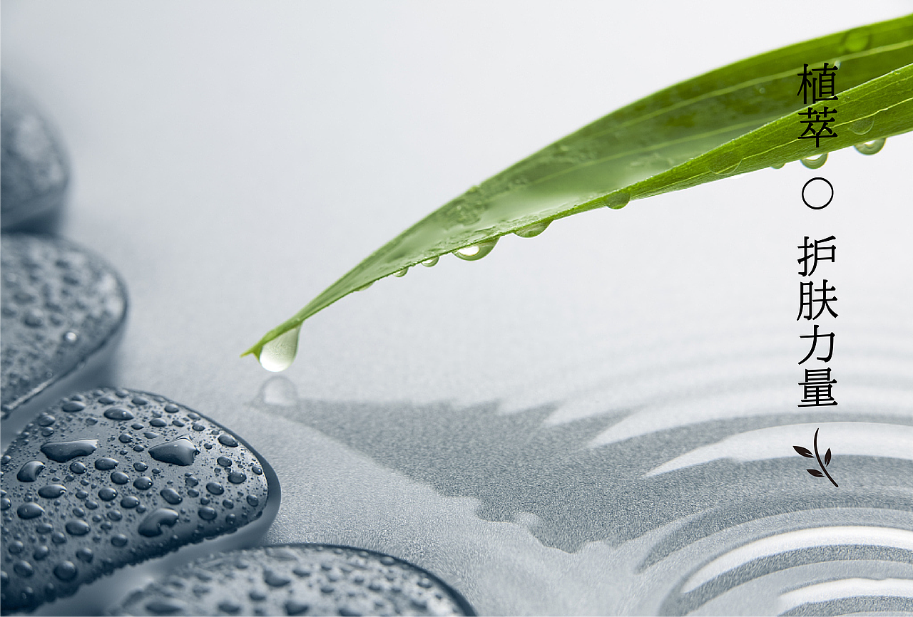 护肤品系列包装设计