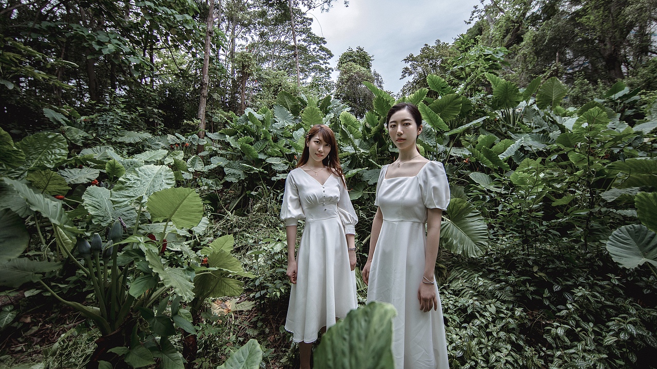 漫步在森林大道