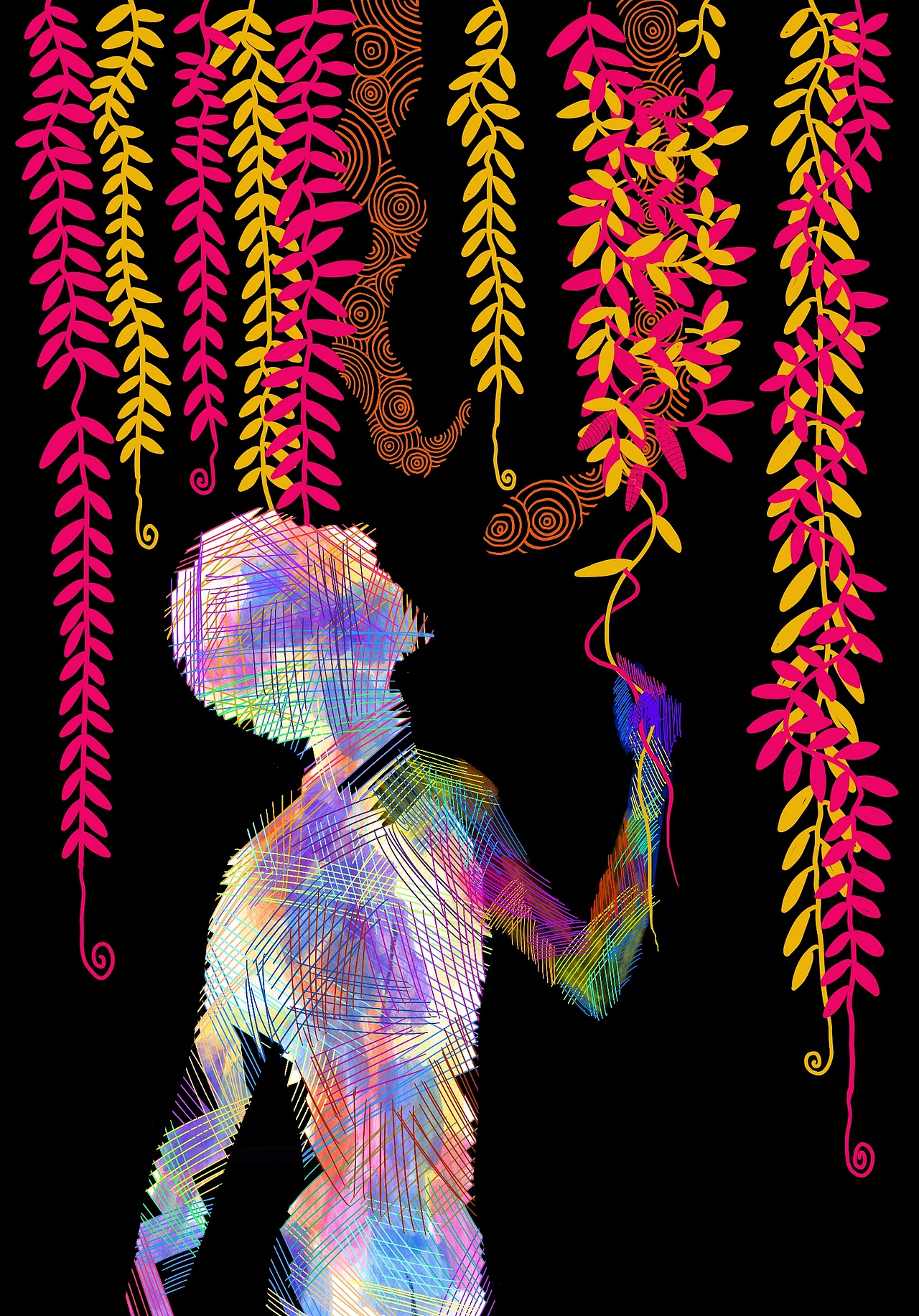 不知所以的插画