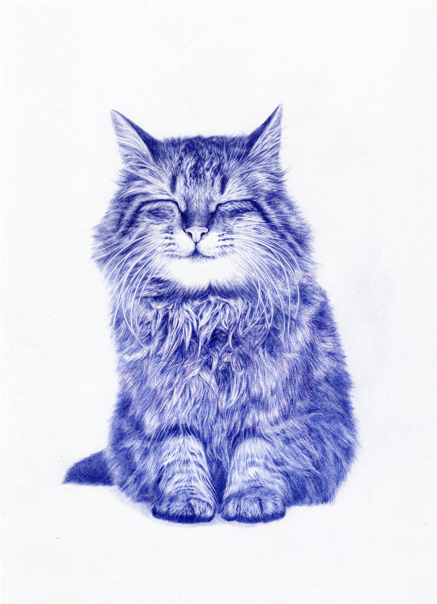 圆珠笔画《猫》作画步骤