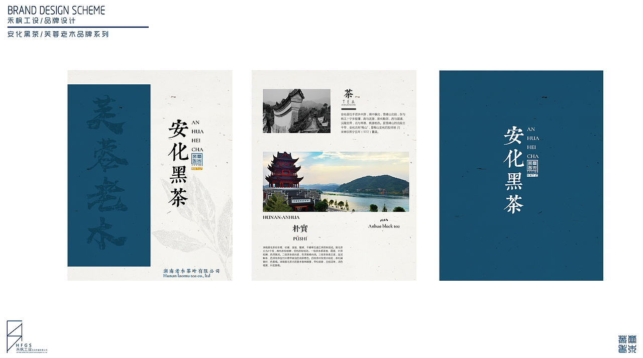 安化黑茶—芙蓉老木