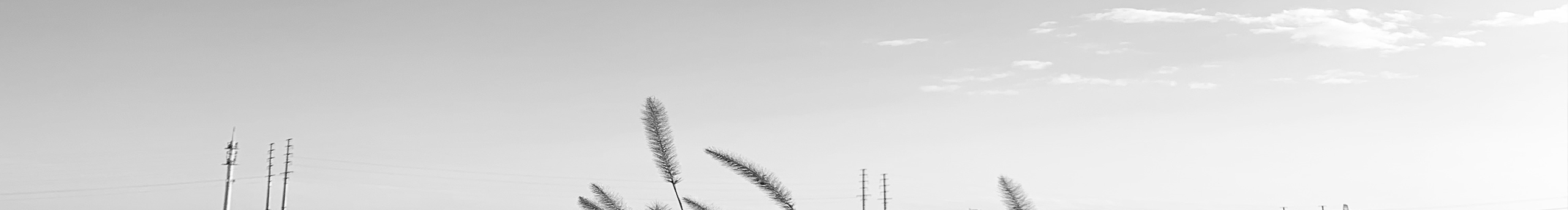 柴团和毓的个人主页（背景预览） - 主页背景设置 - 站酷设计师柴团和毓原创素材 - 站酷ZCOOL