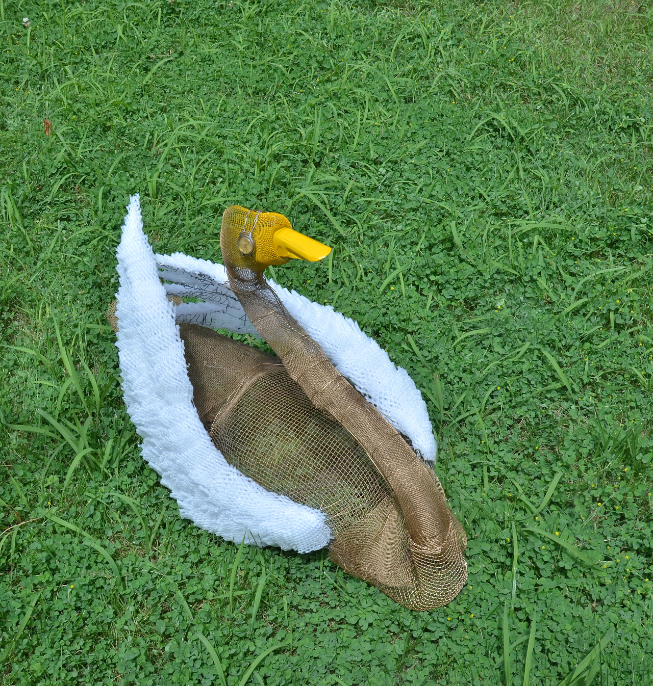 立体构成 综合篇 天鹅