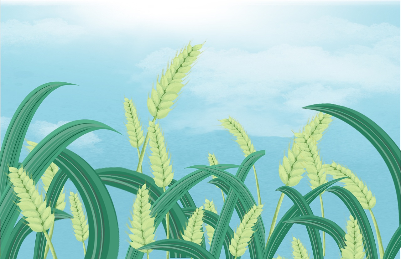 郭大右的个人主页（封面预览） - 主页封面设置 - 站酷设计师郭大右原创素材 - 站酷ZCOOL