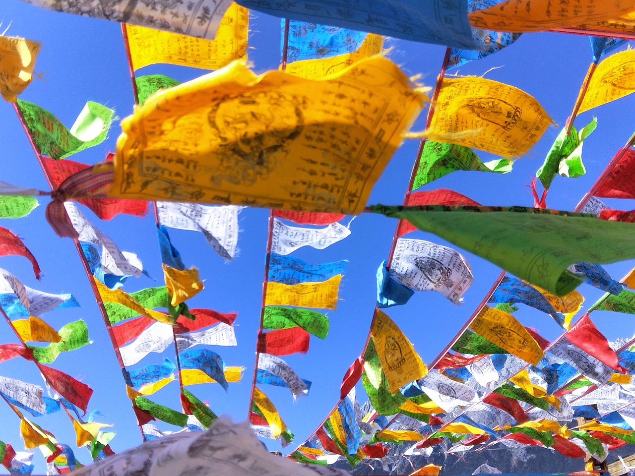 归途（图ZMTYxMjgzNDky） - 人文/纪实摄影 - 站酷设计师陈晓俊原创素材 - 站酷ZCOOL